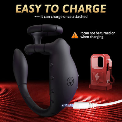 Prostate Massager Vibrating Rooster Ring Sex Toys for Men, Prostate Toy Male Vibrator with Dual Penis Ring