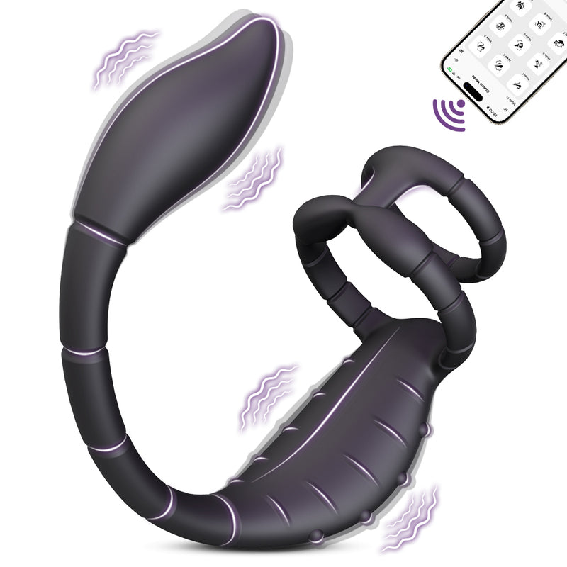 Prostate Massager Vibrating Rooster Ring Sex Toys for Men, Prostate Toy Male Vibrator with Dual Penis Ring