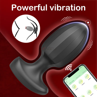 Rechargeable Anal Toy with 9 Vibrations for Beginners