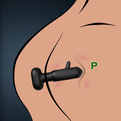 Raider-Tapping Anal Butt Plug Vibrator & Prostate Massager Butt plug