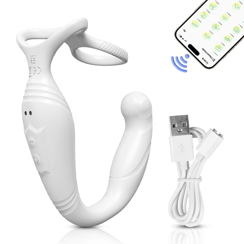 Prostate toy with cock ring, charging cable, and app display on a white background