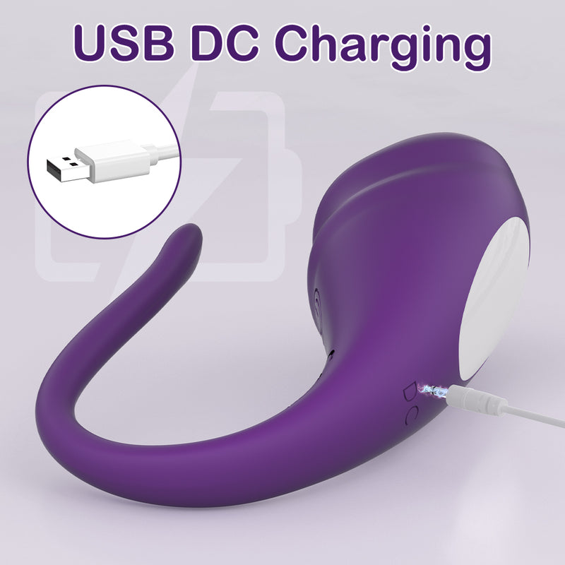 Vibrating red egg with usb dc charging